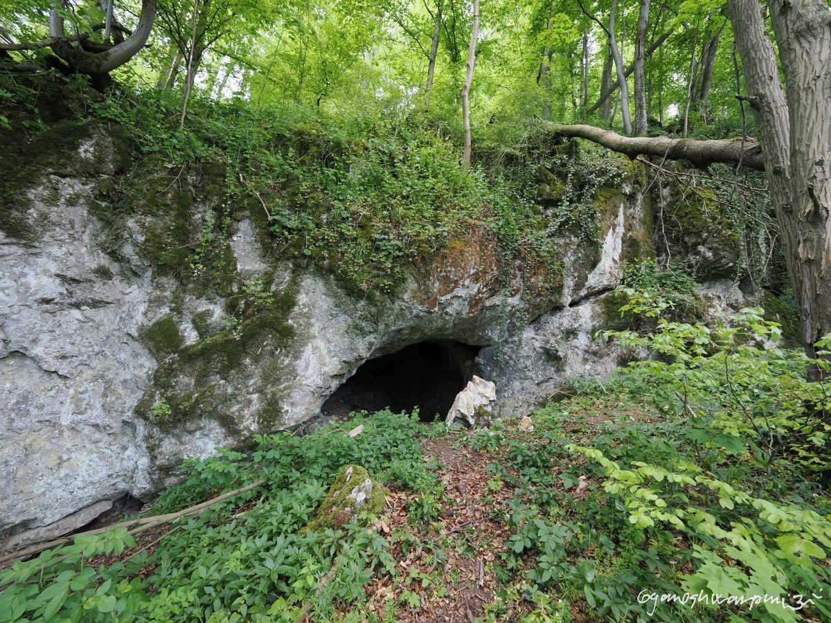 Žitného jeskyně ve Křtinském údolí. Foto: Svámí Gyaneshwarpuri, samospoušť (2025).